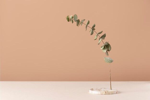 Vorderansicht der Pflanze auf einem Marmorständer mit Blättern und Kopierraum