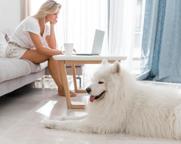 Vorderansicht der schönen Frau und des Hundes