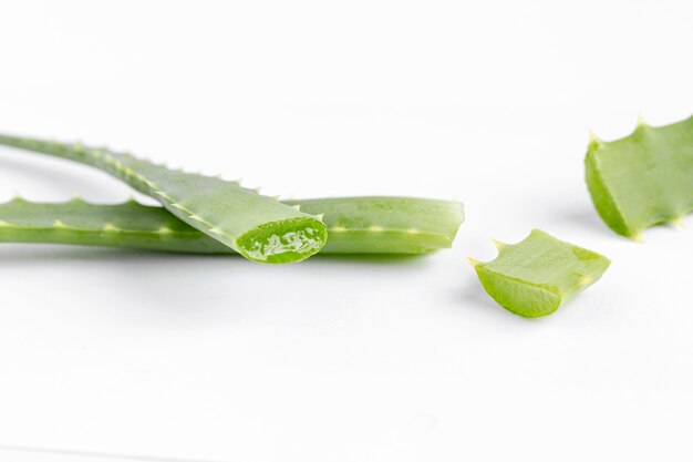 Vorderansicht des Aloe-Vera-Konzepts