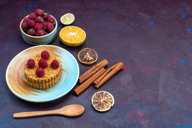 Vorderansicht des kleinen runden Kuchens mit frischen Himbeeren innerhalb Platte mit Früchten auf der dunkelblauen Oberfläche