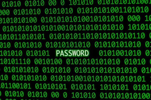 Vorderansicht des Passworts mit Binärcode