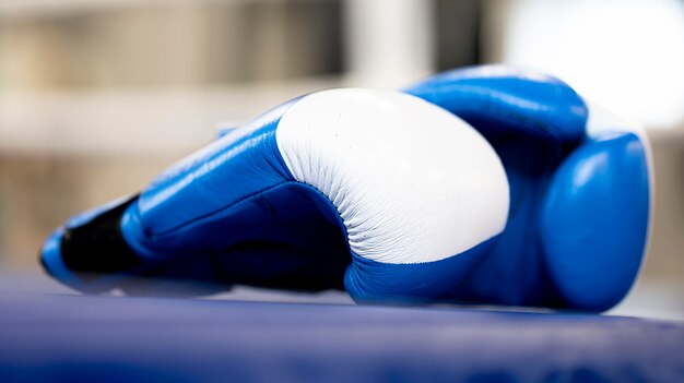 Vorderansicht eines Paares Boxhandschuhe