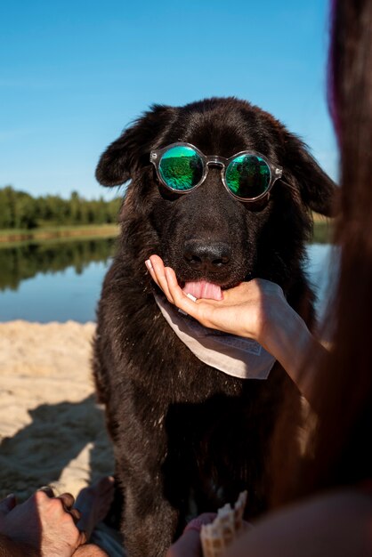 Vorderansicht Frau, die Hund am Strand füttert