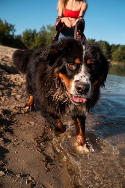 Kostenloses Foto vorderansicht frau mit hund am strand