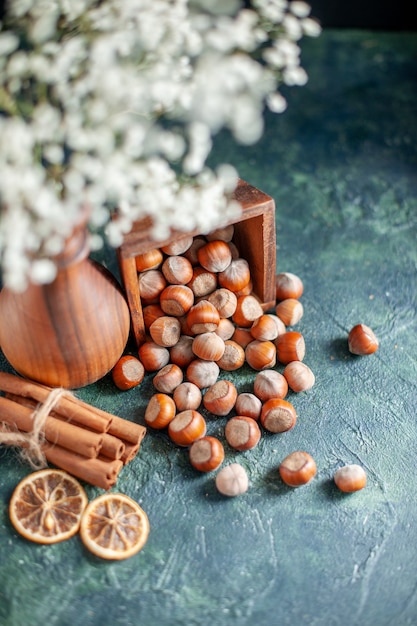 Vorderansicht frische Haselnüsse auf den dunkelblauen Schalennussfotos Walnuss-Erdnuss-Farben-Snack-Cips