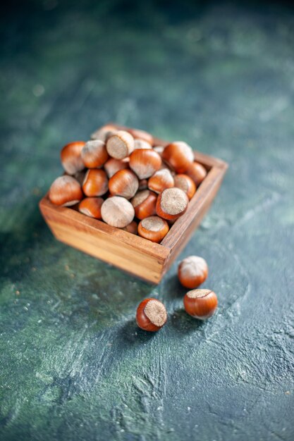 Vorderansicht frische Haselnüsse auf einer dunkelblauen Nuss-Cips-Foto-Snack-Schale Walnuss-Erdnuss-Farbe