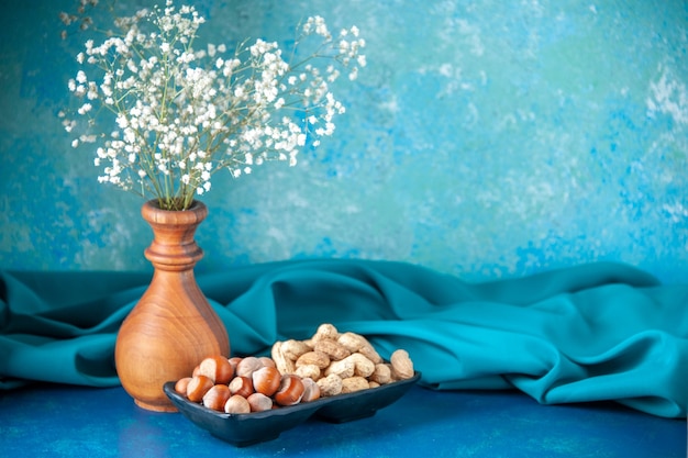 Vorderansicht frische Nüsse Erdnüsse und Haselnüsse auf blauer Farbe Snack Cips Nuss Walnuss Foto Pflanzenbaum