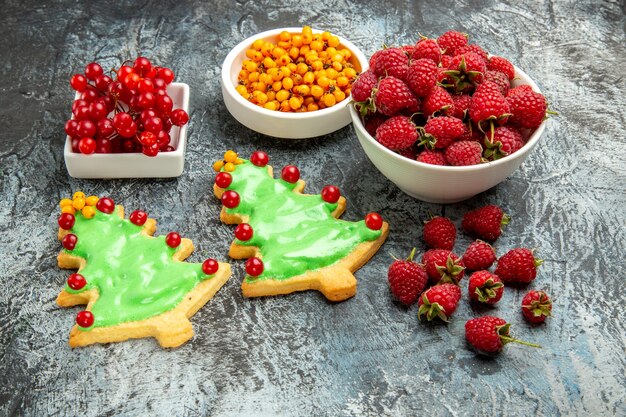 Vorderansicht frische Preiselbeeren mit Himbeeren