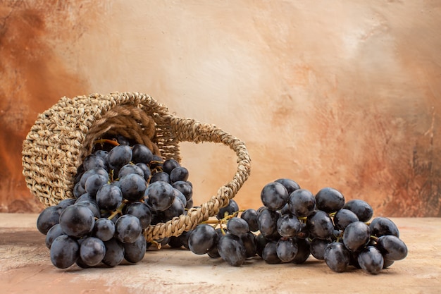 Vorderansicht frische schwarze Trauben im Korb auf dem hellen Hintergrund reifen Fruchtwein ausgereiftes Foto