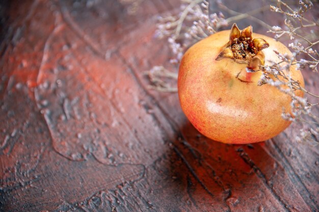 Vorderansicht frischer Granatapfel getrockneter Wildblumenzweig auf isoliertem Hintergrund freier Platz