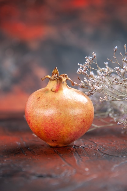 Vorderansicht frischer Granatapfel getrockneter Wildblumenzweig auf isoliertem Hintergrundkopierraum