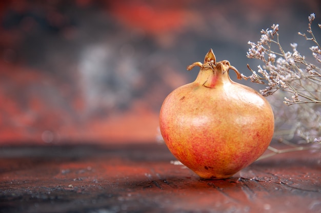 Kostenloses Foto vorderansicht frischer granatapfel getrockneter wildblumenzweig