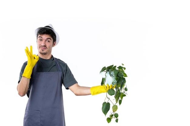 Vorderansicht junger Mann in gelben Handschuhen, der Pflanze auf weißem Hintergrund Grasbaum Bodengärtner grün Job Garten Blumenfarbe hält