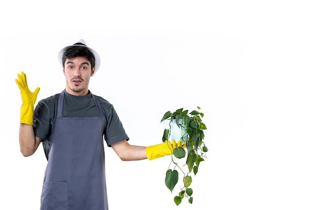 Vorderansicht junger Mann in gelben Handschuhen, der Pflanze auf weißem Hintergrund Grasbaum Bodengrün Job Garten Blumenfarbe hält