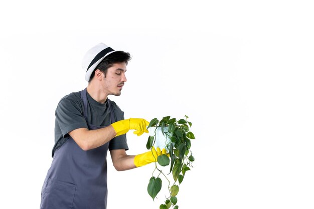 Vorderansicht junger Mann in gelben Handschuhen, der Pflanze auf weißem Hintergrund hält Grasbaum Bodengärtner grüner Job Buschgarten Blumenfarbe