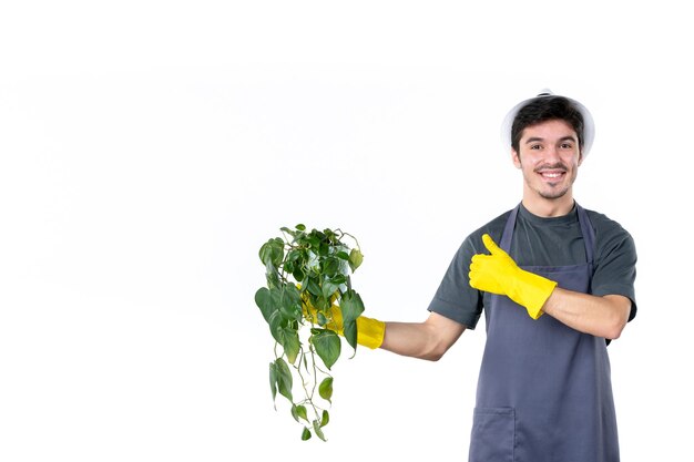Vorderansicht junger Mann in gelben Handschuhen, der Pflanze auf weißem Hintergrund hält Grasbaum grün Job Garten Blumenfarbe Gärtner