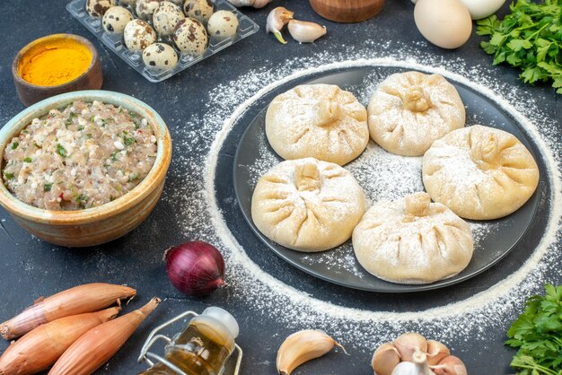 Vorderansicht kleine rohe Knödel mit verschiedenen Zutaten auf grauem Hintergrund Essen Kuchen Kuchen kochen leckeren Fleischteig Farbe backen