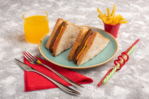 Vorderansicht leckere Toastsandwiches mit Käseschinken innerhalb der blauen Platte mit Saft Pommes Frites auf Weiß