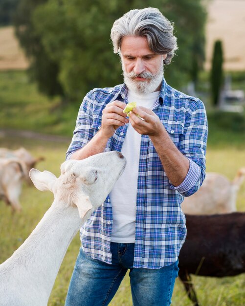 Vorderansicht Mann an Ziegenfarm