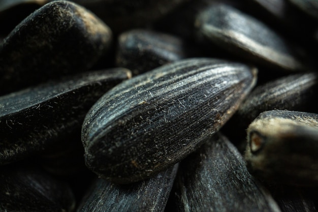 Vorderansicht schwarze Sonnenblumenkerne viele Snackfilmöle