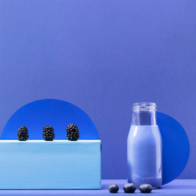 Kostenloses Foto vorderansicht smoothie mit brombeeren und blaubeeren