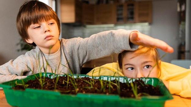 Vorderansicht von Kindern, die Sprossen beobachten, wachsen zu Hause