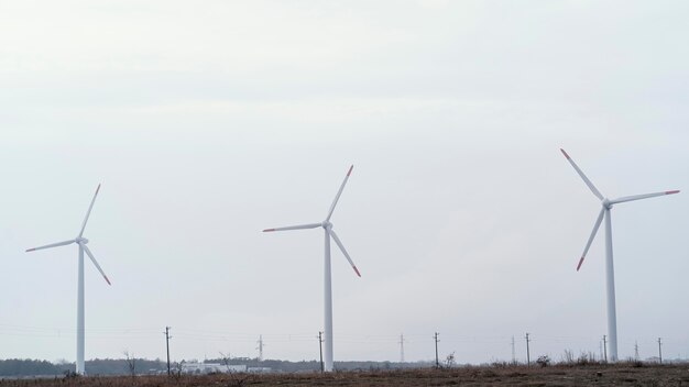 Vorderansicht von Windkraftanlagen im Feld, die elektrische Energie erzeugen