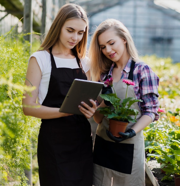 Vorderansicht womenn Teamwork am Gewächshaus