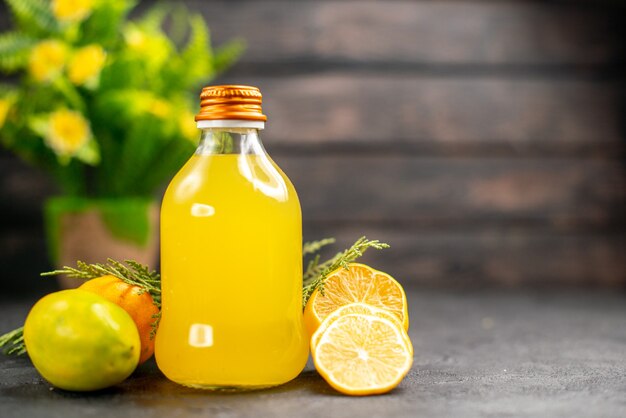 Vorderansicht Zitronensaft in der Flasche Zitronen geschnittene Zitronen Topfpflanze