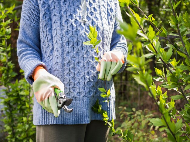 Vorderansichtfrau, die Blätter von ihrem Garten schneidet