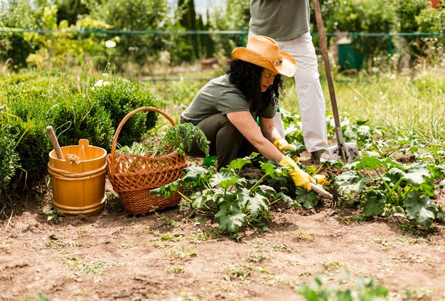 Vorderansichtfrau, die um der Ernte sich kümmert