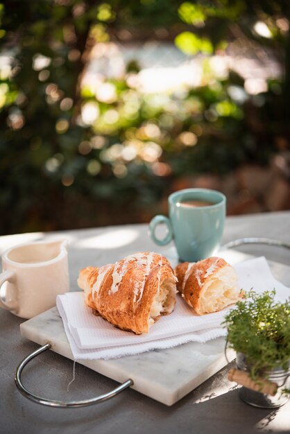 Vorderansichthörnchen mit Kaffee