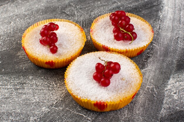 Vordere Nahansicht köstliche Cranberry-Kuchen gebacken und lecker mit roten Cranberries