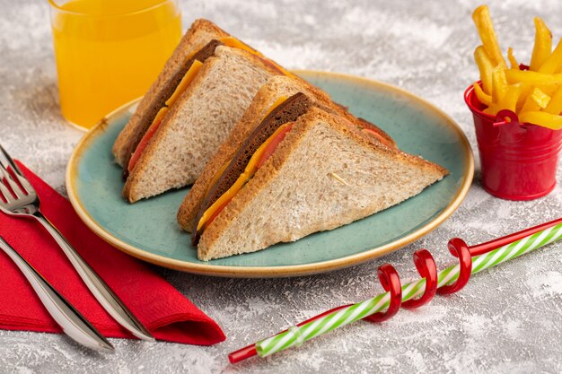 Vordere Nahansicht leckere Toastsandwiches mit Käse und Schinken in blauem Teller mit Saft und Pommes Fritessnack