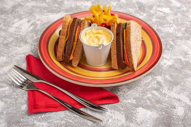 Vordere nahansicht leckere toastsandwiches mit käseschinken in teller mit pommes frites und sauerrahm