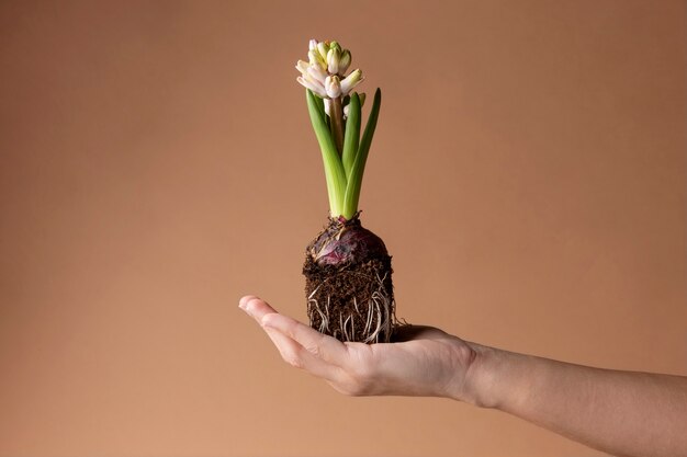 Wachsendes Lebenskonzept mit Blumen