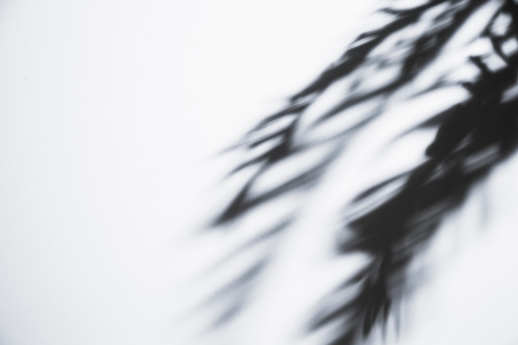 Kostenlose Foto wackeliger palmblattschatten auf weißem hintergrund