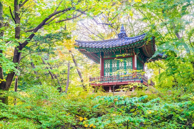 Wahrzeichen Kultur koreanischen Geheimnis Palast