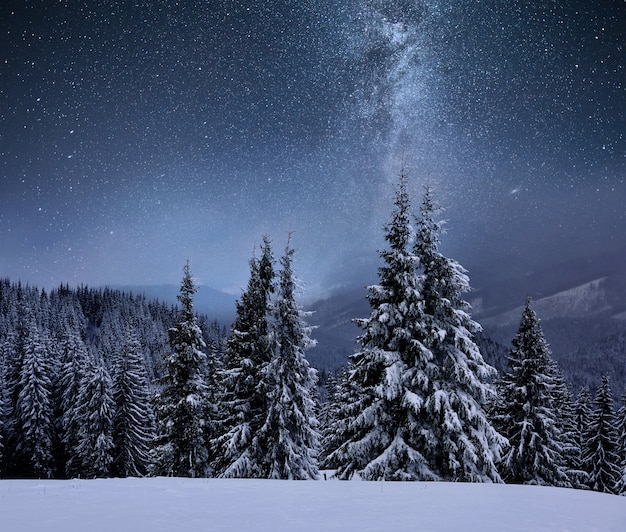 Kostenloses Foto wald auf einem mit schnee bedeckten bergrücken. milchstraße in einem sternenhimmel. weihnachtswinternacht