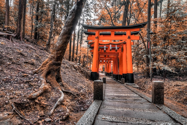 Kostenloses Foto wald mit japanischer struktur
