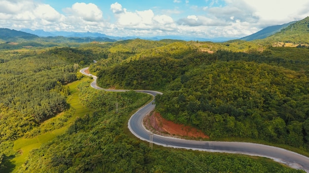 Waldwiesenlandschaft Verkehrs Land