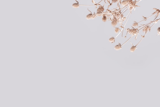 Wallpaper mit blumigem Hintergrund in Erdton