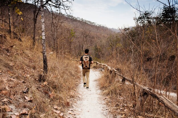 Wanderer auf dem Weg in der Wildnis