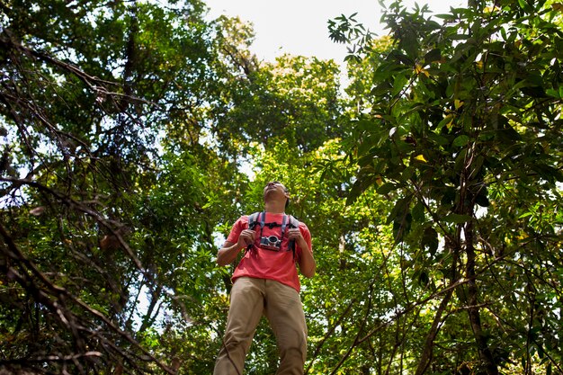 Wanderer im Wald Blick von unten