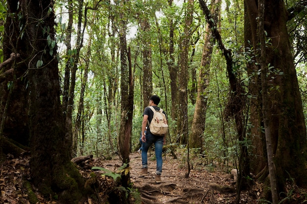 Wanderer mit Rucksack im Wald