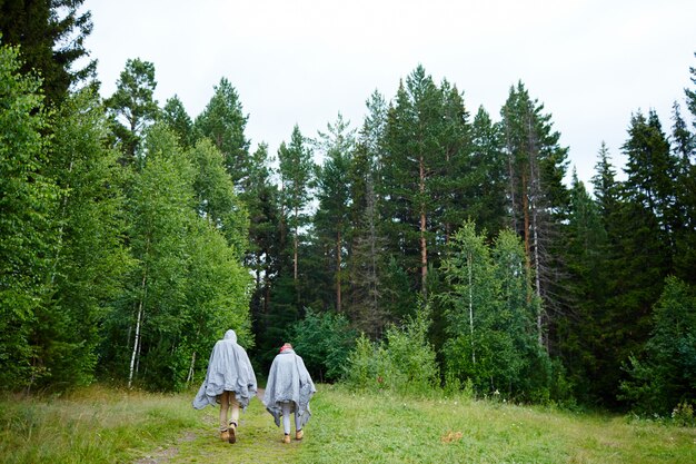 Wandern im Wald