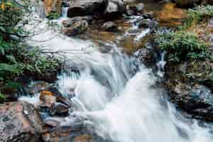 Kostenloses Foto wasser fällt zum fluss