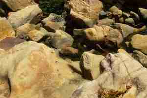 Kostenloses Foto wasser mitten in den felsen