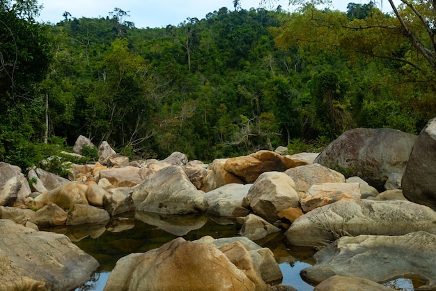 Wasser mitten in Felsen mit einem bewaldeten Berg