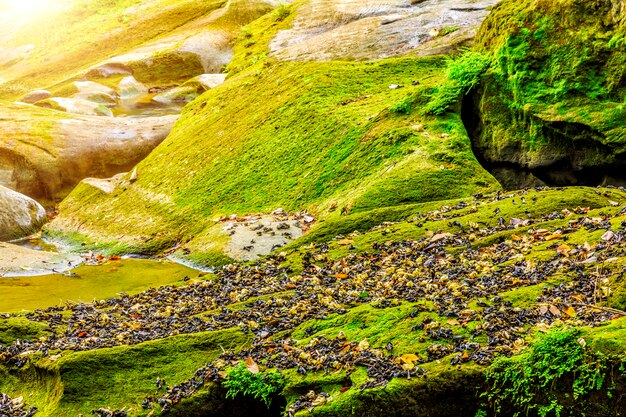 Wasserfälle Berge Natur Creeks Blätter Reflexion